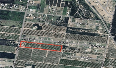 Commercial Property for Sale in  Texas 78572